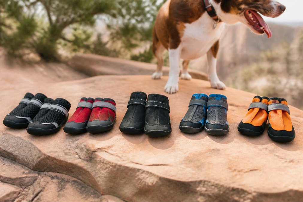 5 Best Dog Booties for Hot Pavement Hiking