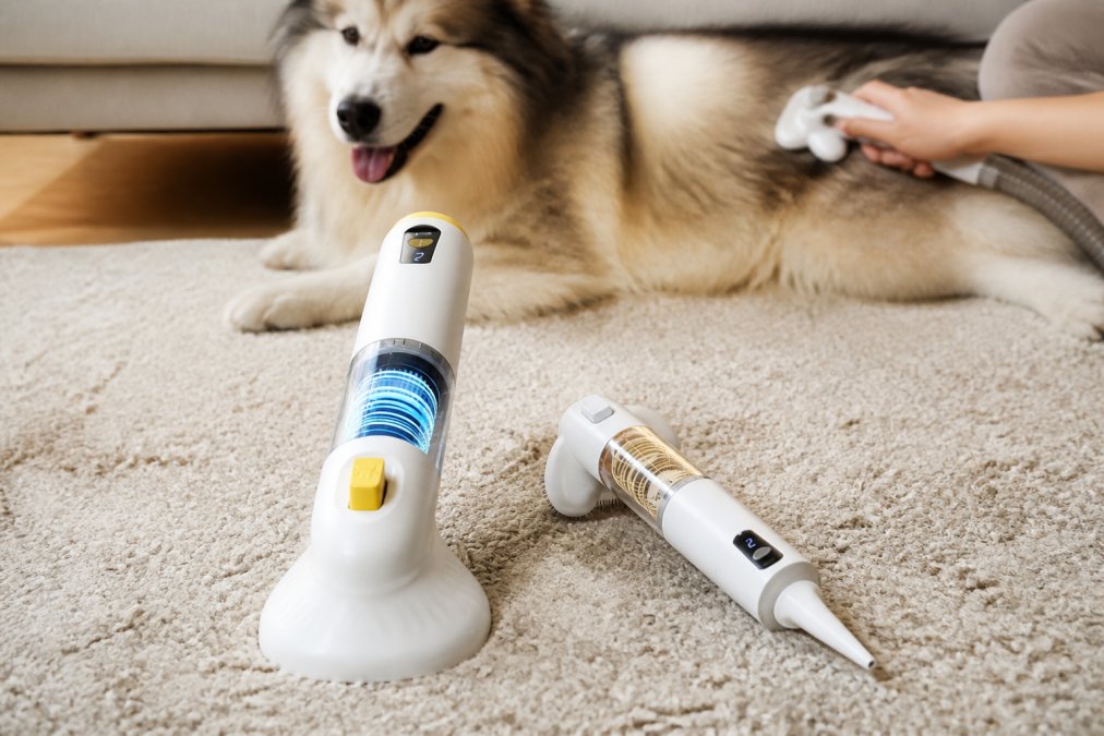 Durable Grooming Tools for Thick Coats