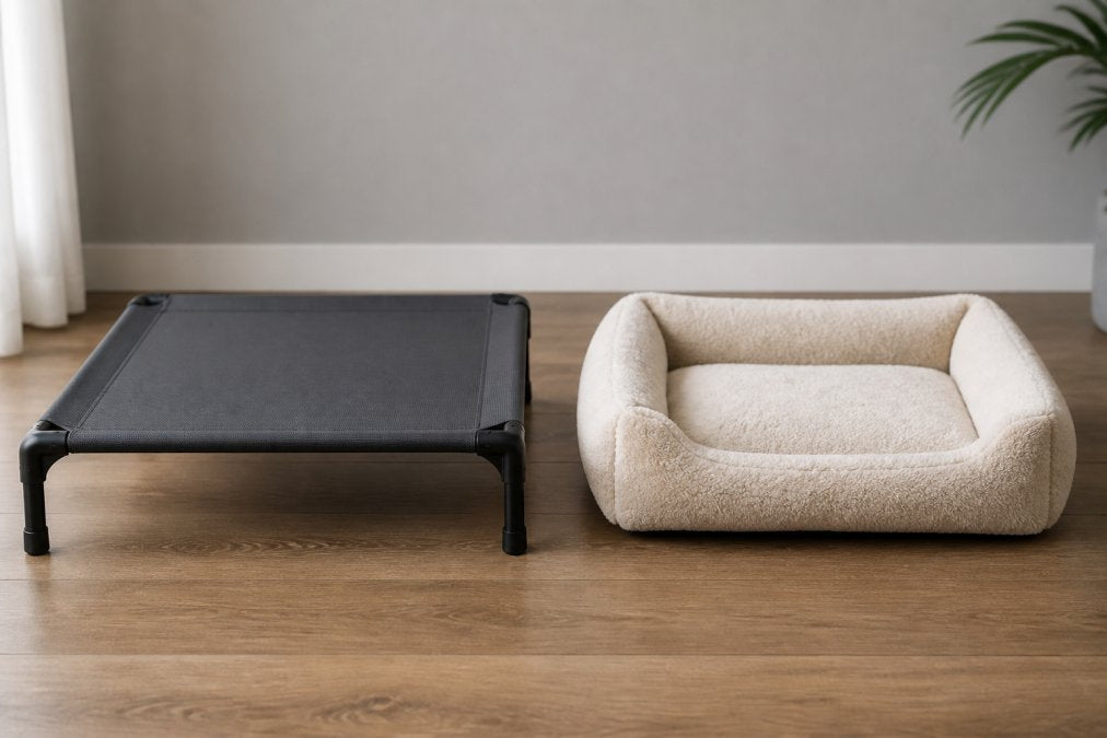 Elevated vs Plush Dog Beds for Seniors