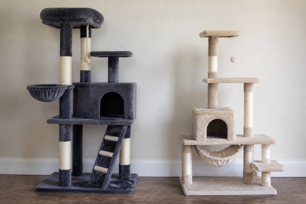 Heavy Duty Cat Trees vs Standard Cat Towers (2026)