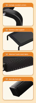 Elevated Outdoor Dog Bed
