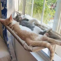 Cat Window Hanging Hammock Bed