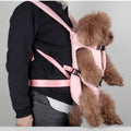 Front-Hugging Large Dog Carrier Backpack