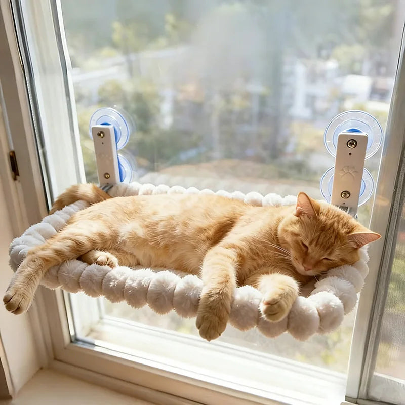 Proud Pet Shop Skyview Lounge