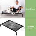 Elevated Outdoor Dog Bed