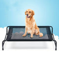 Elevated Outdoor Dog Bed